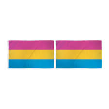 The difference between bisexual and pansexual is that the pansexual person is attracted that they aren't just attracted to boys and girls, they are attracted to. Anley Fly Breeze 3x5 Foot Pansexual Pride Flag Omnisexual Lgbt Flags Polyester Buy At A Low Prices On Joom E Commerce Platform