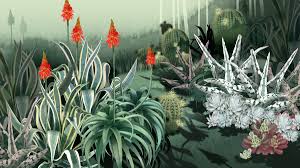 It is also associated with. Consider The Cactus How Succulents Took Over The World The Ringer
