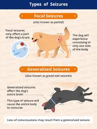 Canna pet has a limited selection of products, but consumers can nourish any of their animals with the solutions, regardless of the breed. Infographic From Www Canna Pet Com Vet Medicine Vet Assistant Pet Clinic