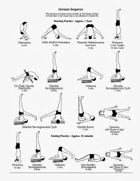 Yoga Home Practice Immune Sequence Iyengar Yoga Iyengar Yoga Poses Yoga Institute