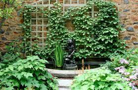 Sweet potato vine is an excellent foliage accent in outdoor containers. Great Design Plant Ornamental Sweet Potato Vine