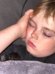 Cotton enjoying a beautiful fall day napping in his mama's arms.