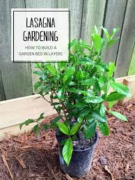 Pin On Awesome Diy And Home Decor