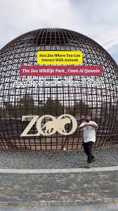 Image result for Maroon 1985 UMM