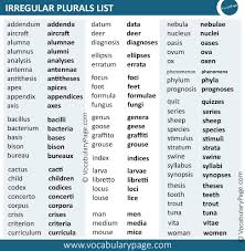 Irregular Plural Nouns Irregular Plurals Plurals Irregular Plural Nouns