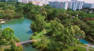 We will plan 1000000 more trees across our island, which will sequester another 78000 tons of cotwo. Scelerf8zsmc4m