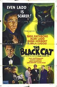 Pin On Black Cats Illustration