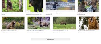 Image result for tbn:ANd9GcRRPhfqK2htXoEuGy-e_DrtM4nBTknHjYCTGYUmwmH9OJfPeMbyVnCyCz8