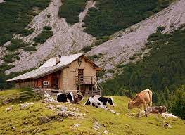 Baita/chalet in altopiano del sole, s.n.c, ossimo. Quale Contratto Scegliere Per Affittare Una Baita