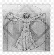 In pursuit of polymathy—andrew robinson reviews waqās ahmed's the polymath: Polymath Png Images Pngegg