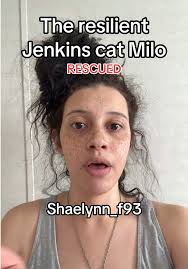 Reliance Jenkins Milo