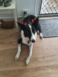 Happy New Year 2025. "Be kind always" xxxx