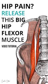 Pin On Exercise