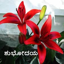 Maybe you would like to learn more about one of these? Morning Night In Kannada For Android Apk Download