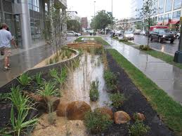 Dc Rain Garden Rain Garden Design Landscape Design Rain Garden
