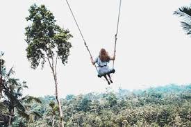 Bali Jungle Swing Experience And Ubud Highlights Tour 2021 Kuta