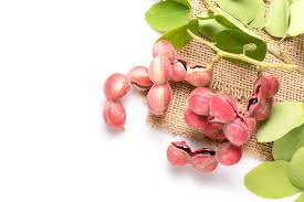 Image result for Pithecellobium dulce