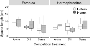 An animal or plant having both male and female reproductive organs, structures, or tissue : Intraspecific Sexual Competition In The Clonal Gynodioecious Herb Glechoma Hederacea In Response To Patchy Nutrient Distribution Springerlink