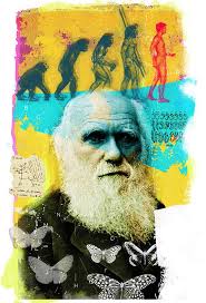 Eva Tatcheva Anna Goodson Illustration Agency Illustration Charles Darwin Art Wallpaper