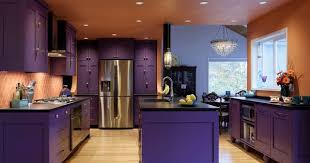 Open Layout Kitchen With Island Purple Kitchen Dark Kitchen Dark Kitchen Cabinets