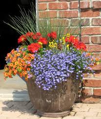 Mar 18, 2019 · white is a classic symbol of perfection which means you should definitely plant some of these flowers in your backyard! 290 Container Combinations Ideas In 2021 Container Gardening Container Plants Plants