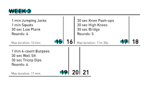 Not all of us can afford a gym membership. 28 Day Workout Challenge For Beginners All Workouts 15 Min