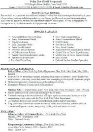 military veteran resume examples