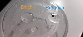 True/false from hoffman test 1. Sharing My Test Results On Lsd With Erlich Baby Pink And Hoffman Dark Blue Reagents Reagenttesting