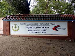 Pusat pengurusan penyu ni terletak kat padang kemunting, masjid tanah melaka dekat dengan pengkalan balak. Pusat Konservasi Dan Penerangan Penyu Pasir Panjang Segari Perak