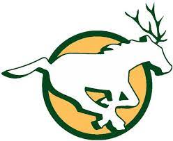 Edmonton elks 12oz coffee mug. Leaked Edmonton Elks Concept Logo Cfl