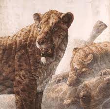 Kennis Kennis It S The American Lion Panthera Leo Atrox Or P Atrox Also Known As The North Ancient Animals Prehistoric Wildlife Prehistoric Creatures