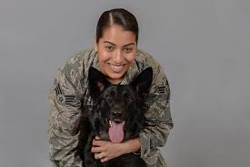 Veterinary surgical offerings at healthy pets animal hospital in o'fallon il 2269. Vet Clinic Helps Make Happy Healthy Pets Scott Air Force Base Display