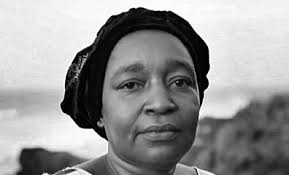 Dexter Palmer ou la tempête en mouvement