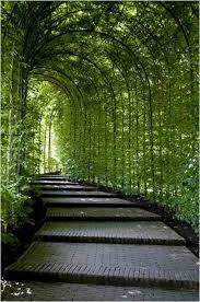 Alnwick Castle Gardens Alnwick Northumberland England Covered Garden Path Landscape Landscape Design Outdoor