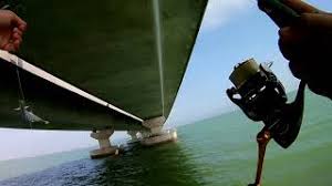 We did not find results for: Jig Dan Apolo Bawah Jambatan Kedua Pulau Pinang Ultralight Fishing Youtube