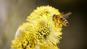 Erzwingen keine bestimmte haltung und steigern ihre elastizität mit der. Nackenstutzkissen Im Test Nur Zwei Empfehlenswert Oko Test