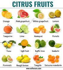 Citrus Fruits List Of 15 Citrus Fruits With Esl Picture And Example Sentences Esl Forums Citrus Fruit List Citrus Fruit Fruit