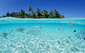Días libres para disfrutar de las instalaciones del hotel o hacer actividades opcionales como visitar la capital, hacer snorkel o submarinismo o nadar con delfines. Vacaciones En Las Islas Maldivas El Pais Insular Enviajes