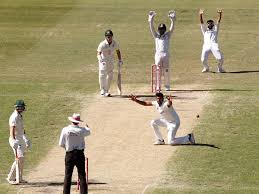 David andrew warner (born 27 october 1986) is an australian international cricketer and a former captain of the australian national team. Ind Vs Aus Ashwin Dismisses David Warner For 10th Time In Tests Cricket News Times Of India