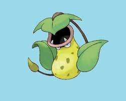 Learn how to draw mega charizard y from pokemon x y step by step. How To Draw Pokemon Archives How To Draw Step By Step