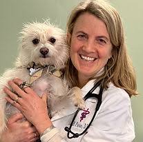 Meet our Medical Team