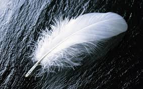 43 Neon Feather Wallpaper On Wallpapersafari Download and share awesome cool background hd mobile phone wallpapers.