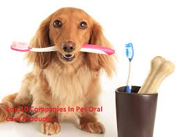 Learn about policies, companies and pet dental insurance: Top 10 Companies In Pet Oral Care Products Meticulous Blog