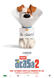 Cant load video player files, try disable adblock and refresh page. The Secret Life Of Pets 2 Singuri AcasÄƒ 2 2019 Film Cinemagia Ro