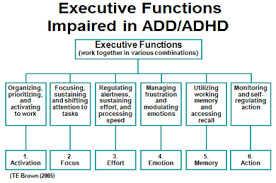 Brown Executive Function Attention Scales