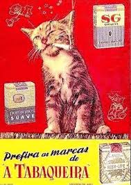 Pin On Cats