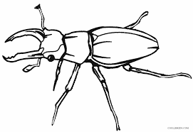 Some ants and scale insects have a mutualistic relationship; Printable Bug Coloring Pages For Kids