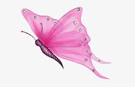 Check spelling or type a new query. Pink Transparent Butterfly Gif Transparent Png 566x450 Free Download On Nicepng