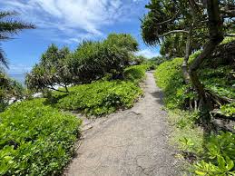 Image result for Kuloa