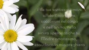 Monizione iniziale celebriamo oggi la nascita di maria. Ogni Giorno Una Lode A Maria 8 Settembre Nativita Di Maria Gaudio Del Mondo